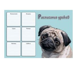 Расписание уроков